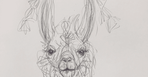 512x269 Inked In Red Llama Sketch - Llama Sketch