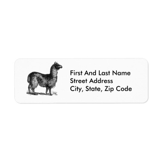 540x540 Llama Sketch Design Label - Llama Sketch