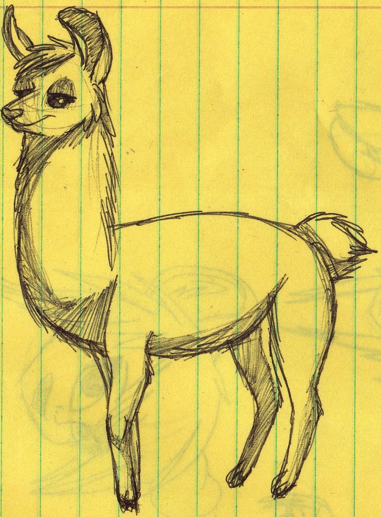767x1042 Llama Sketch By Mashaheart - Llama Sketch