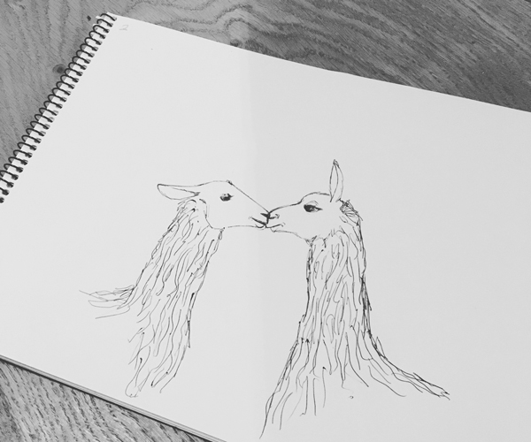 600x500 Sketches Calista Paxton Llama In The Room - Llama Sketch