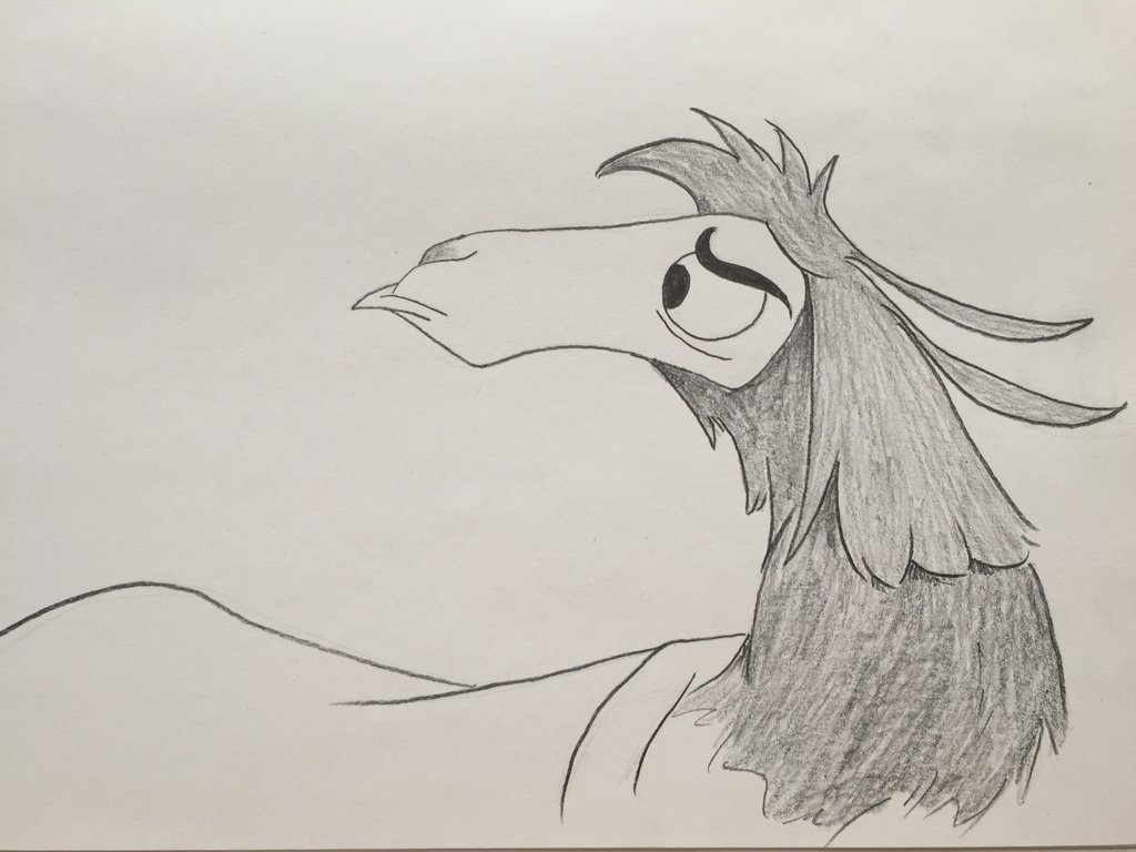 1024x768 February 18th - Llama Sketch
