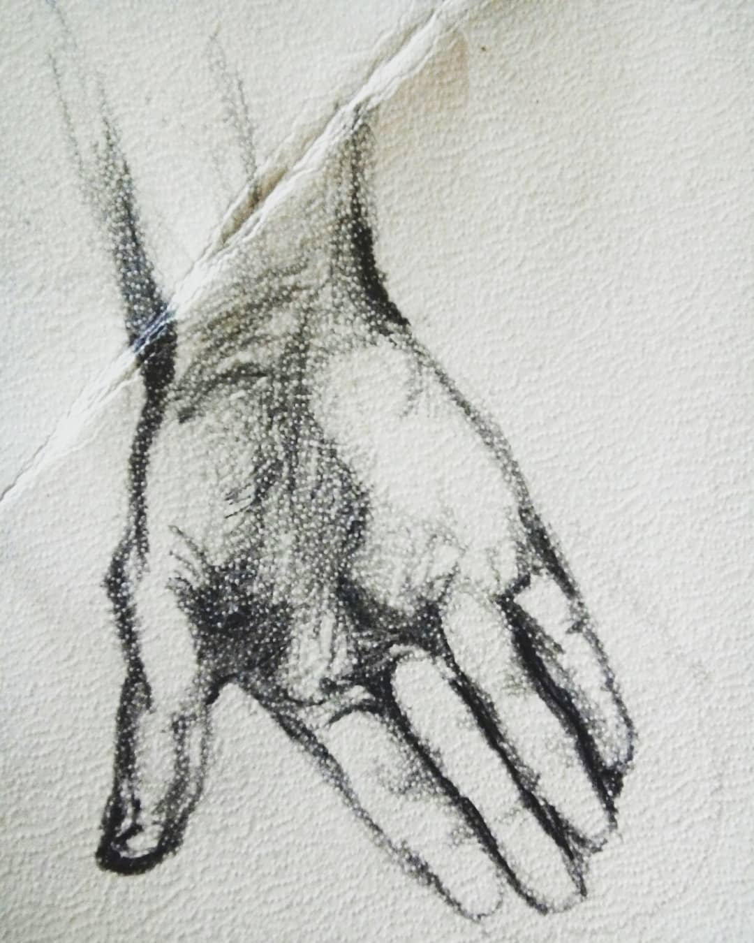 1080x1350 Anatomysketches - Lm Sketchdump