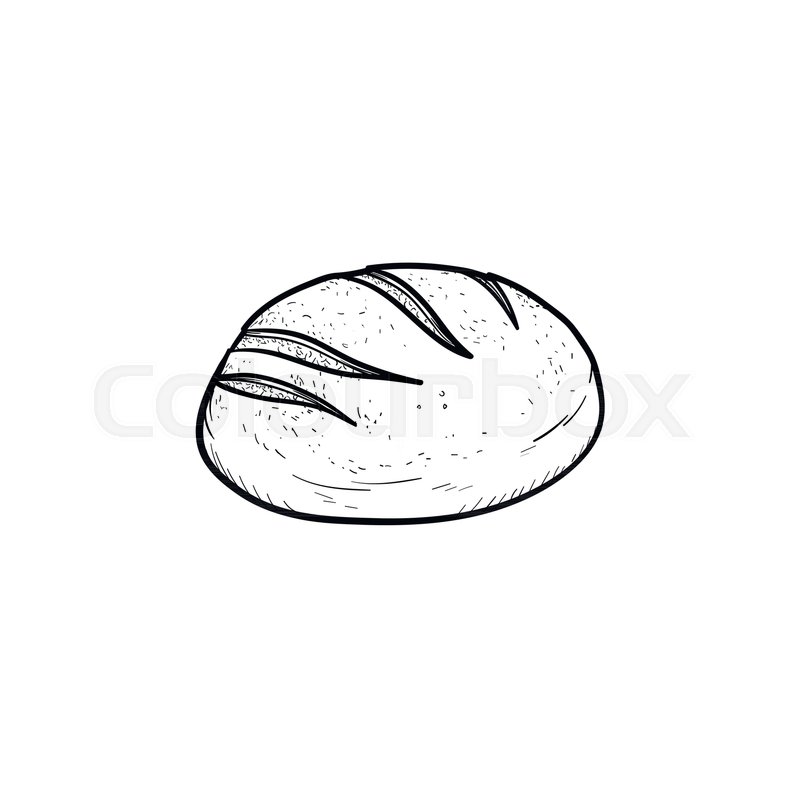 800x800 Loaf Hand Drawn Outline Doodle Icon. Vector Sketch Illustration Of - Loaf Of Bread Sketch