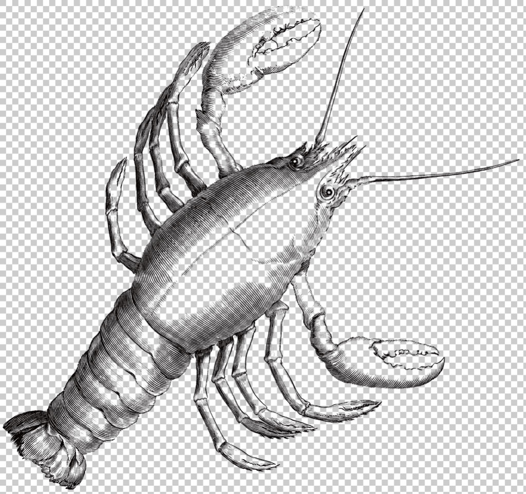 1024x963 Hand Painted Big Lobster Sketch Free Png Transparent Layer Design - Lobster Sketch
