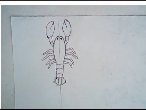 480x360 How To Draw A Lobster (Simple Drawing) - Lobster Sketch