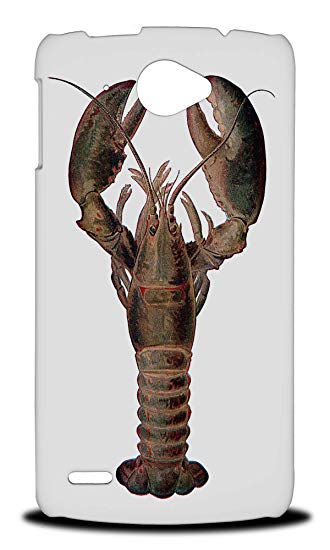 330x550 Lobster Sketch Art Drawing Hard Phone Case Cover For - Lobster Sketch