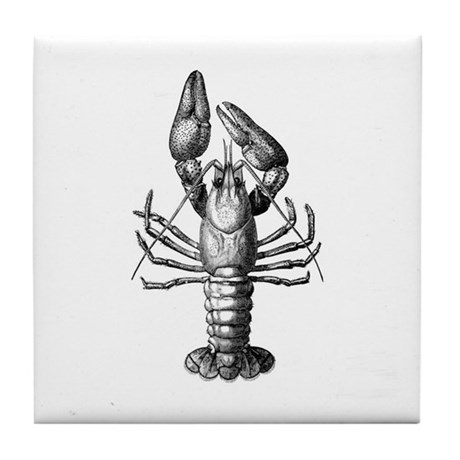 460x460 Lobster Sketch Coasters - Lobster Sketch