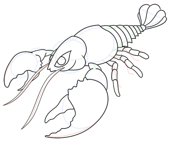 540x450 Cartoon Lobster Step By Step Drawing Lesson - Lobster Sketch