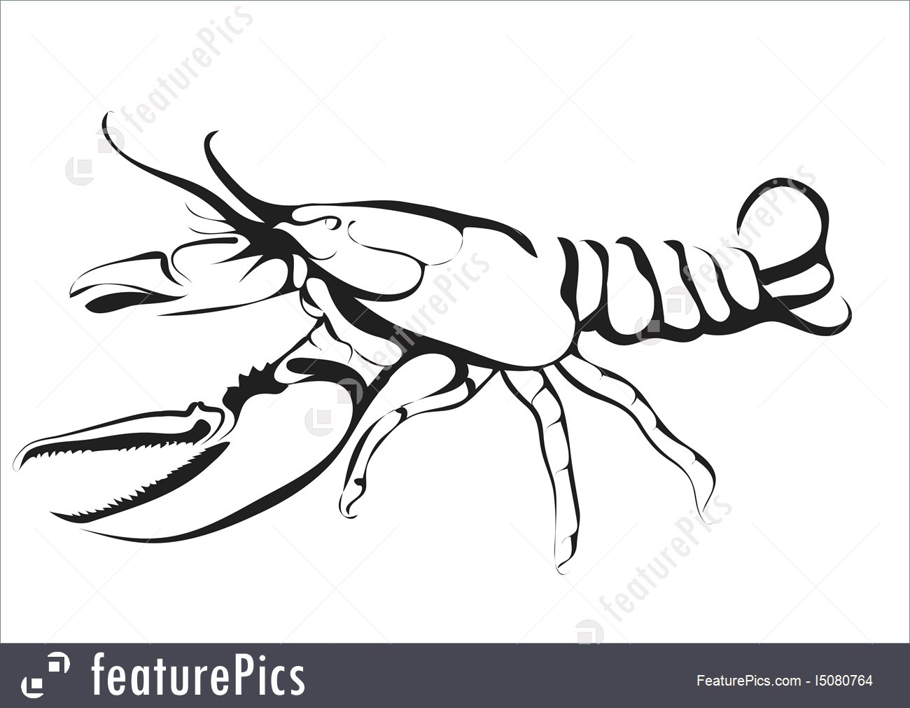 1300x1011 Sketch Of Lobster Illustration - Lobster Sketch