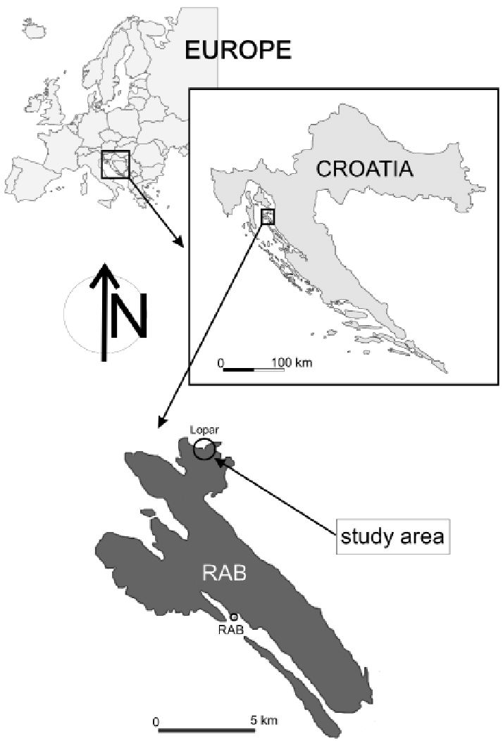 714x1053 Location Sketch Of The Island Of Rab And The Lopar Area - Location Sketch