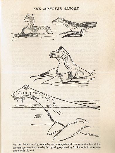 393x524 Loch Ness Monster On The Horns Of A Dilemma - Loch Ness Monster Sketch