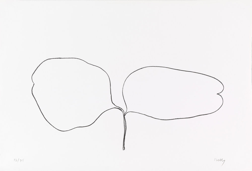 1000x677 Locust Andy Heart - Locust Sketch