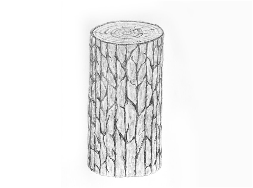 850x632 How To Draw Wood - Log Sketch