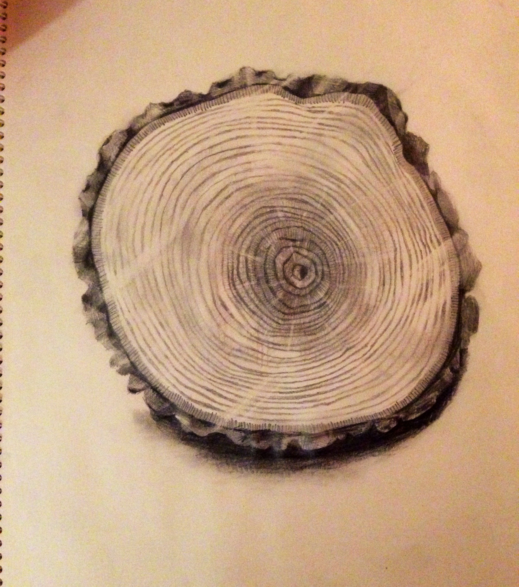 1811x2048 Log Sketch Nolita Jpn - Log Sketch