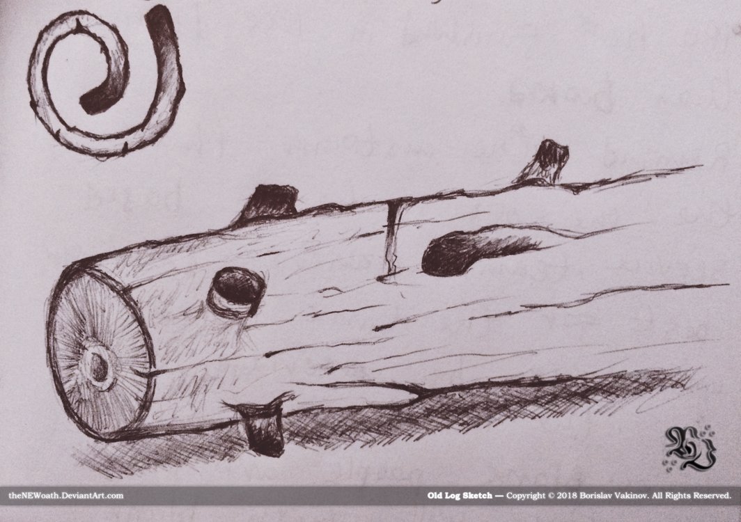 1064x750 Old Log Sketch By Thenewoath - Log Sketch