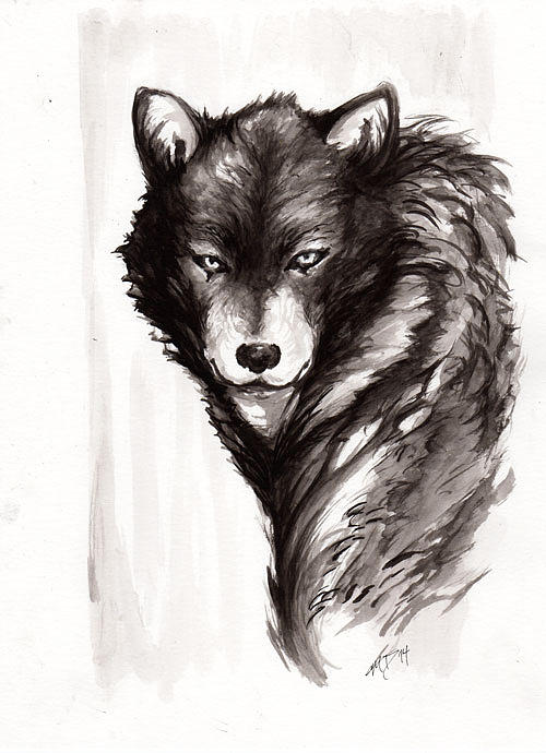 500x690 Lone Wolf Drawing By Miguel Karlo Dominado - Lone Wolf Sketch