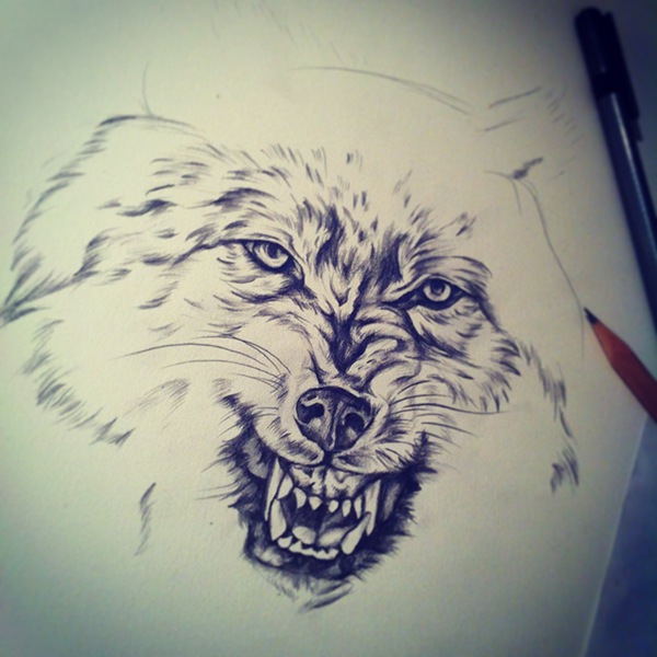 600x600 Lone Wolf On Behance - Lone Wolf Sketch