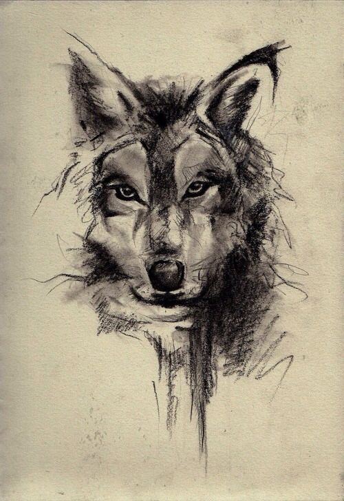 500x728 Lone Wolf The Wolf Gang Lone Wolf, Wolf And Tattoo - Lone Wolf Sketch