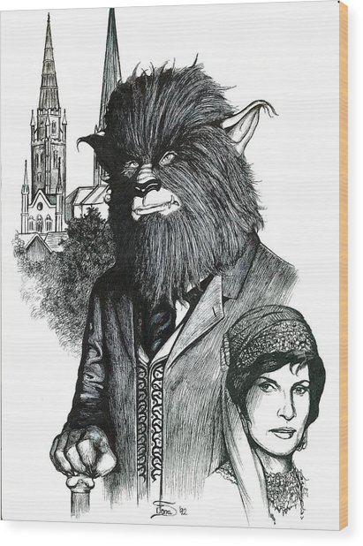 411x618 A Lone Wolf In Coventry Drawing By Jamie Jonas - Lone Wolf Sketch
