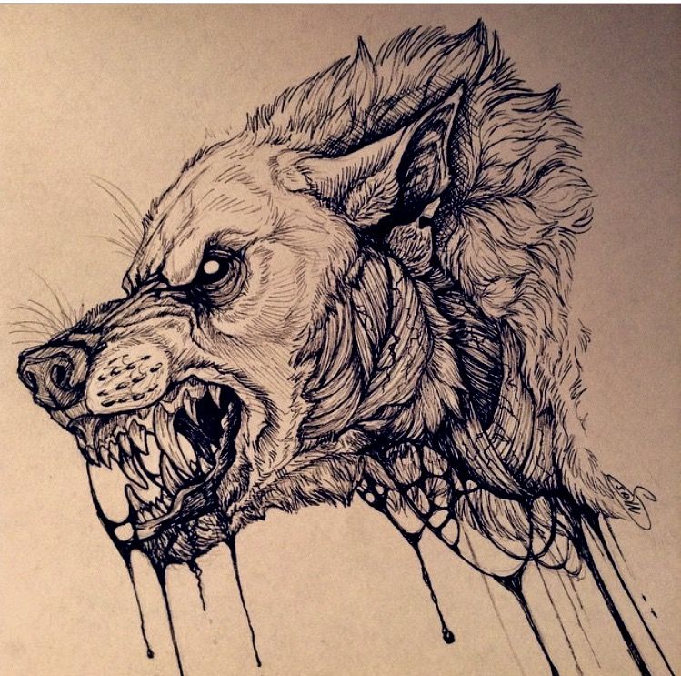 749x743 Pin By Alex Conjurint On Tattoos, Wolf - Lone Wolf Sketch