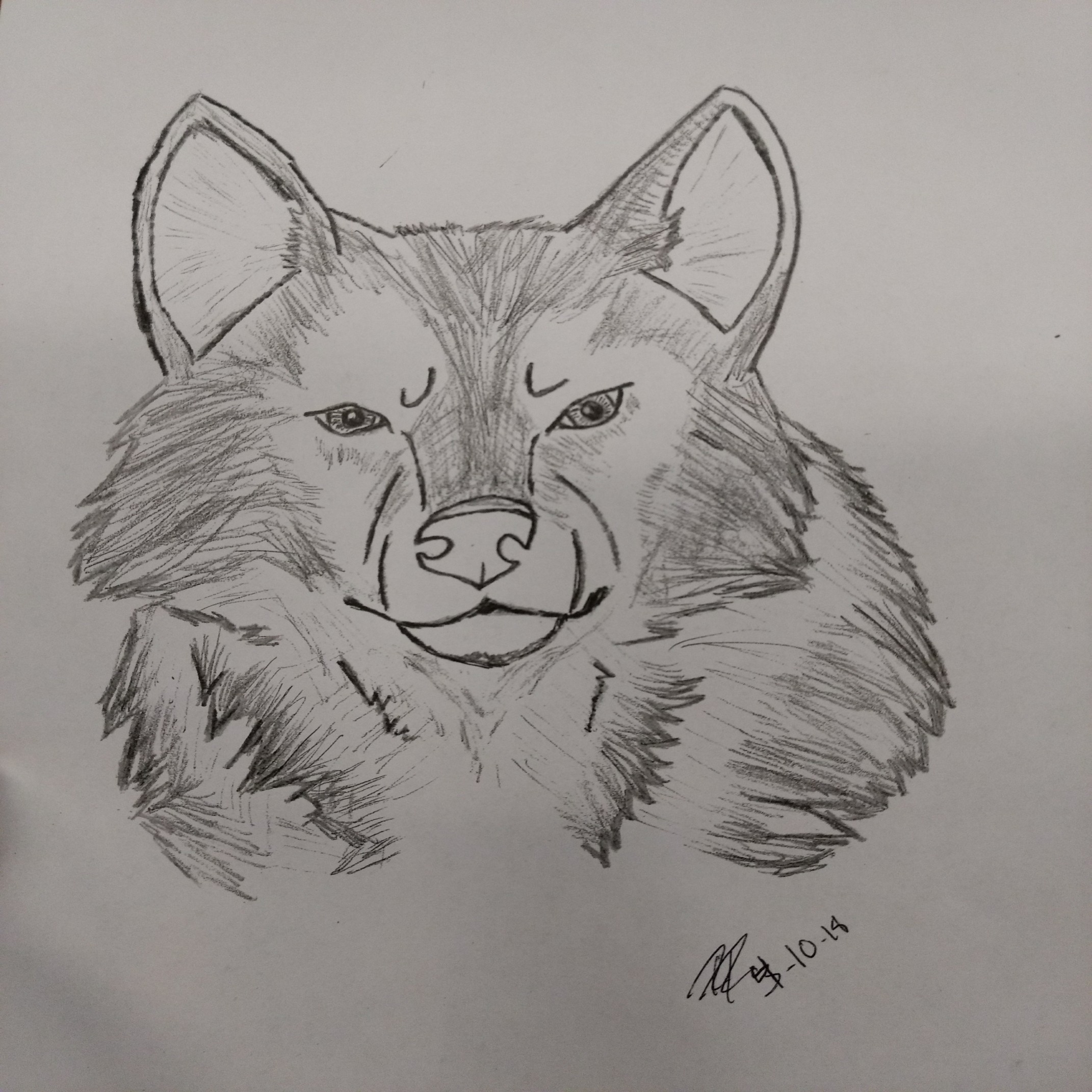 2142x2142 Ryanreynolds1389 Lone Wolf Sketch Mens - Lone Wolf Sketch