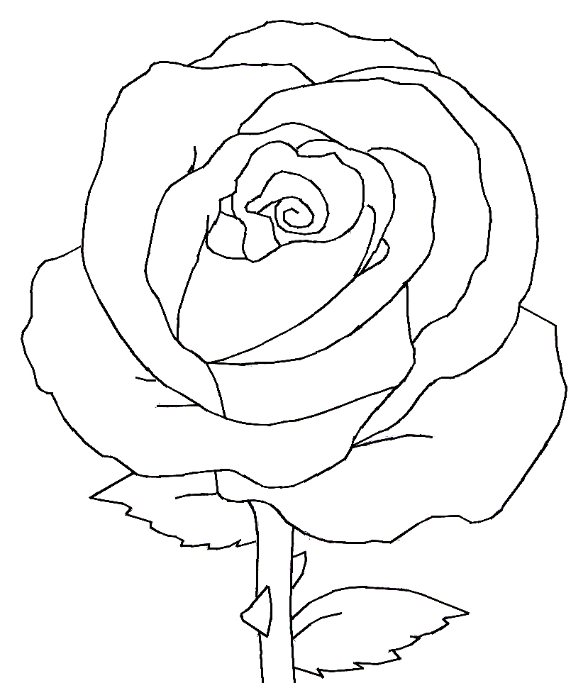 829x963 Drawn Red Rose Black And White Step By Step - Long Stem Rose Sketch