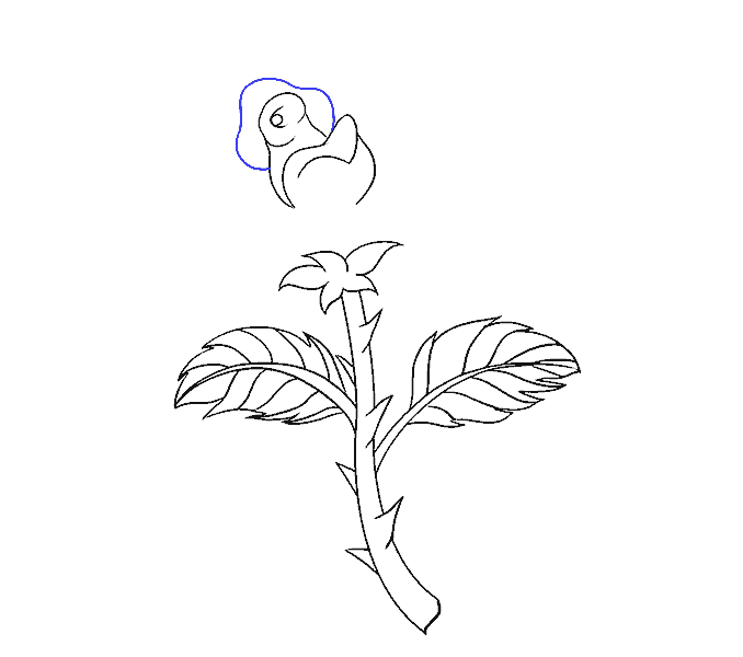 678x600 How To Draw A Rose In A Few Easy Steps Easy Drawing Guides - Long Stem Rose Sketch