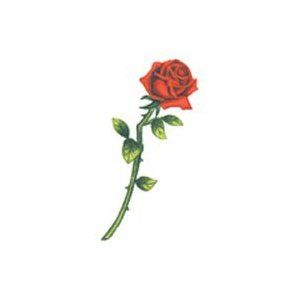 300x300 Long Stem Rose Tattoo Image Group - Long Stem Rose Sketch