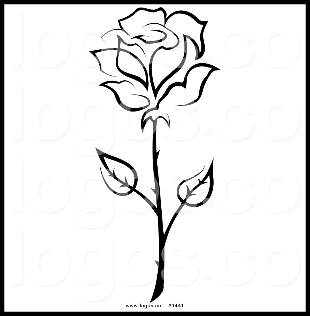 1074x1094 The Best Flower Draw Lotus Tattoo Designs Photos Dma Homes Pic For - Long Stem Rose Sketch