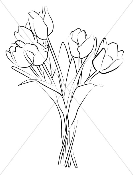 467x612 Bouquet Clipart Draw Flower ~ Frames ~ Illustrations ~ Hd Images - Long Stem Rose Sketch