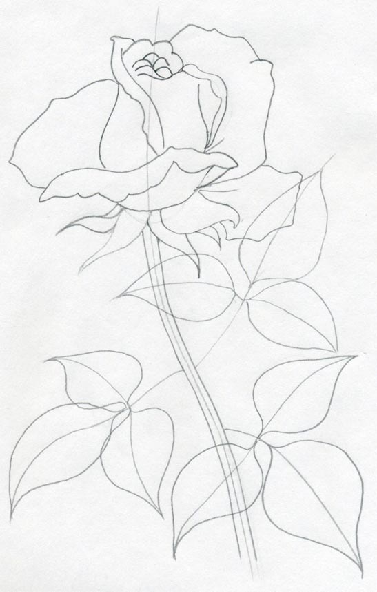 547x857 Draw A Rose Quickly, Simply And Easily - Long Stem Rose Sketch