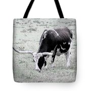 180x180 Longhorn Sketch Drawing By Ericamaxine Price - Longhorn Sketch