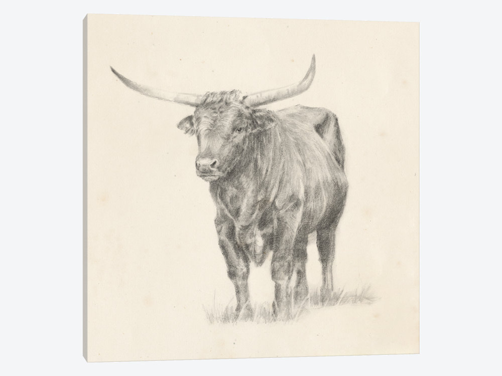 1000x750 Longhorn Steer Sketch I Canvas Wall Art By Ethan Harper Icanvas - Longhorn Sketch
