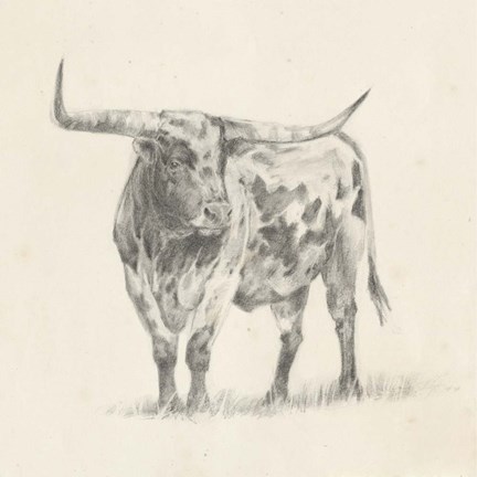 432x432 Longhorn Steer Sketch Ii Art By Ethan Harper - Longhorn Sketch
