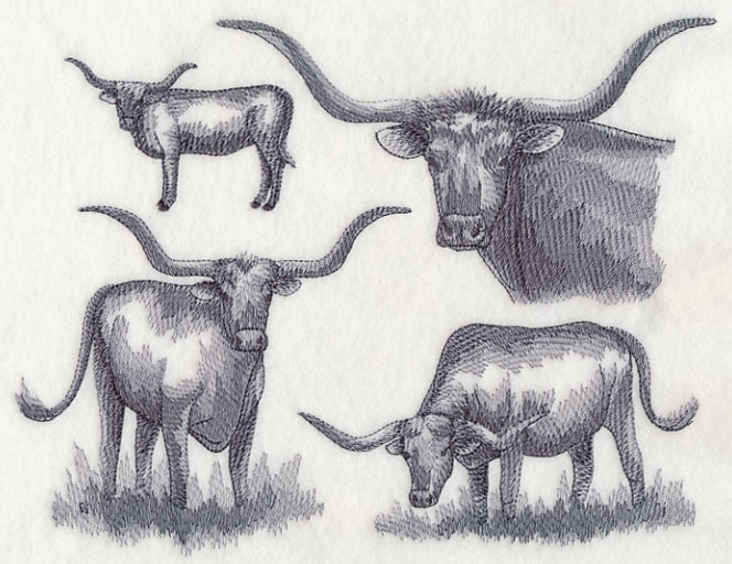 664x512 Machine Embroidery Designs - Longhorn Sketch