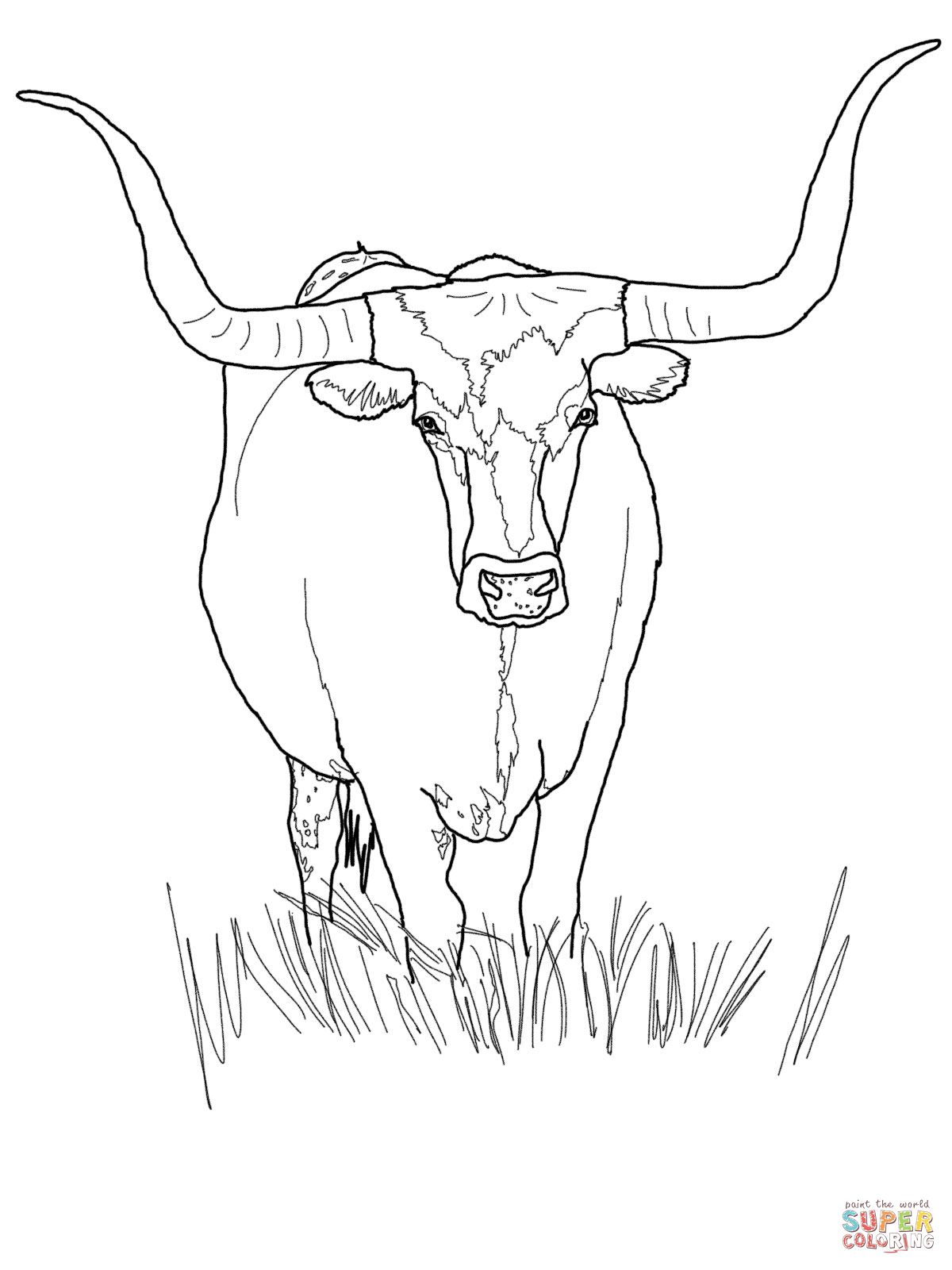 1200x1600 Pin By Jill Martinez On For Dad Amppopo Coloring Pages - Longhorn Sketch