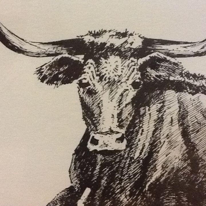 720x720 Robert A. Gartland (1928 1987) Texas Longhorn Drawingsketch - Longhorn Sketch