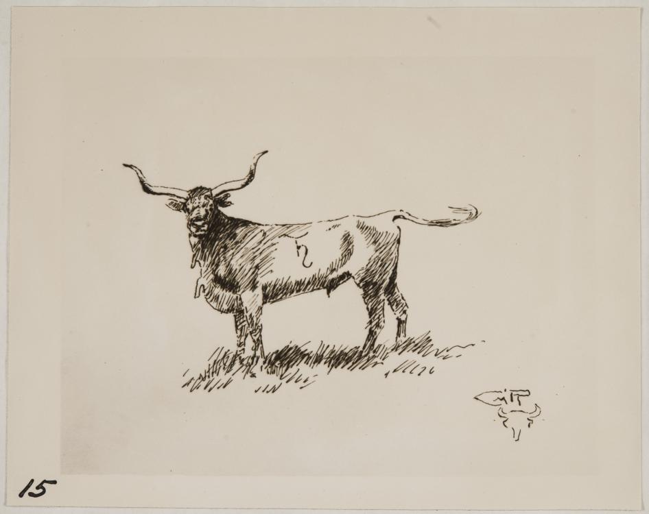 946x750 Sketch Of Longhorn Steer Unknown - Longhorn Sketch