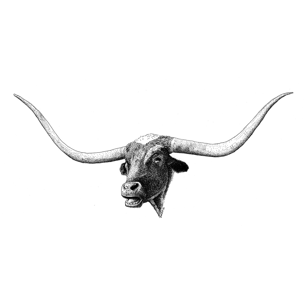 1024x1024 Texas Longhorn - Longhorn Sketch