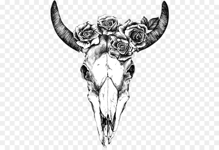 900x620 Texas Longhorn Drawing Human Skull Symbolism Bull - Longhorn Sketch