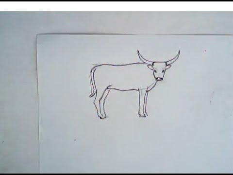 480x360 How To Draw A Long Horn Cattle (Simple Drawing) - Longhorn Sketch