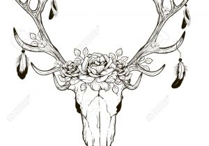 300x210 Drawings Of Cow Skulls Longhorn Skull Drawing At Getdrawings - Longhorn Skull Sketch