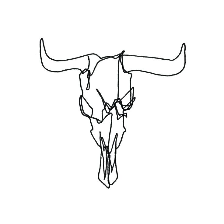 736x736 Head Skull Of Bull Drawing Ssinfotech.co - Longhorn Skull Sketch