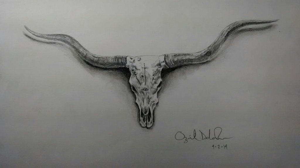 1024x575 Longhorn Skull By Epek13 - Longhorn Skull Sketch