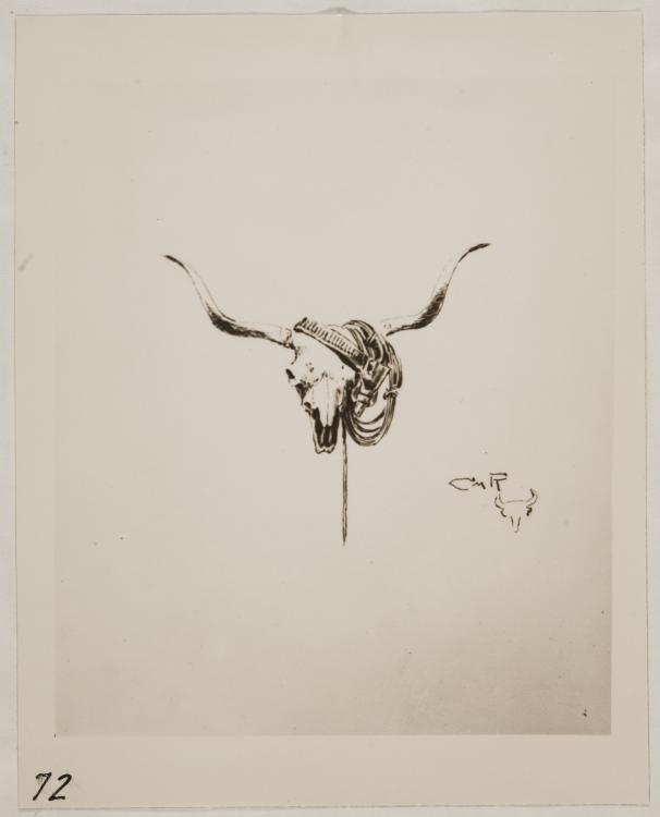 606x750 Sketch Of Longhorn Steer Skull Unknown - Longhorn Skull Sketch