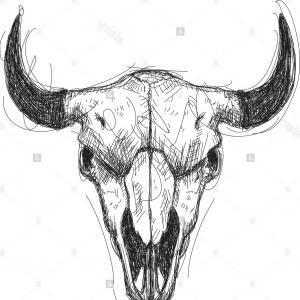 300x300 Stock Illustration Cow Skull With Horns Shopatcloth - Longhorn Skull Sketch
