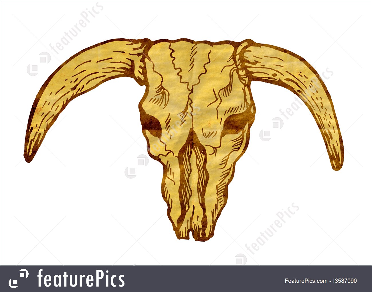 1300x1019 Texas Longhorn Bull Skull Illustration - Longhorn Skull Sketch