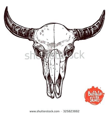 450x470 Longhorn Skull Vector Codercat.club - Longhorn Skull Sketch