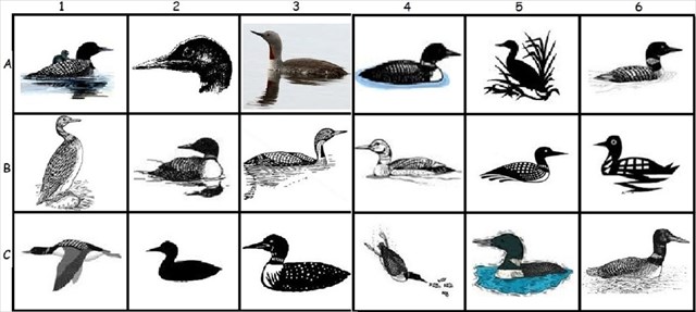 640x287 Gc4e91m Canada Loon Loonie Loons (Unknown Cache) In Ontario - Loon Sketch