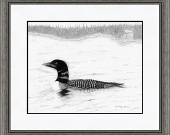 340x270 Loon Sketch Etsy - Loon Sketch
